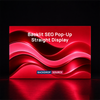 Backlit SEG Pop-Up Straight Display